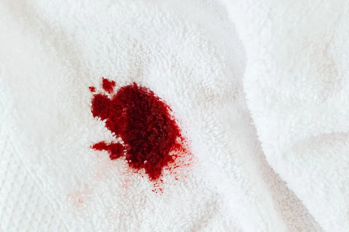 Mancha de sangue vermelha sobre tecido branco